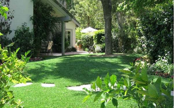 yard landscaped with synlawn