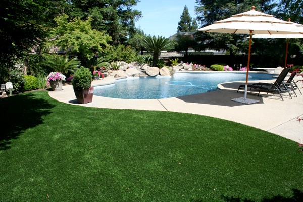 A Silicon Valley backyard uses synthetic turf to keep their pool clean and their yard looking green!