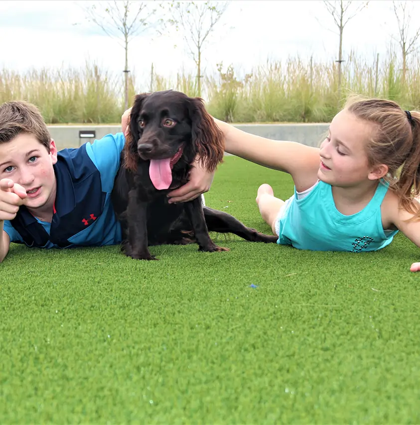 Kids playing eith dog on SYNLawn artificial grass