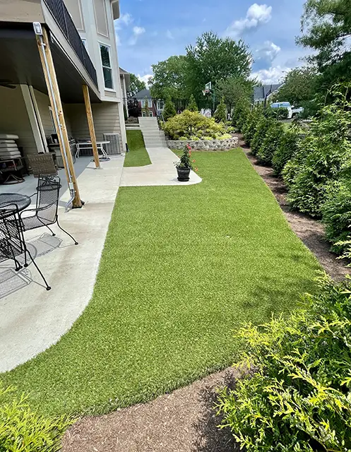 Backyard turf from SYNLawn