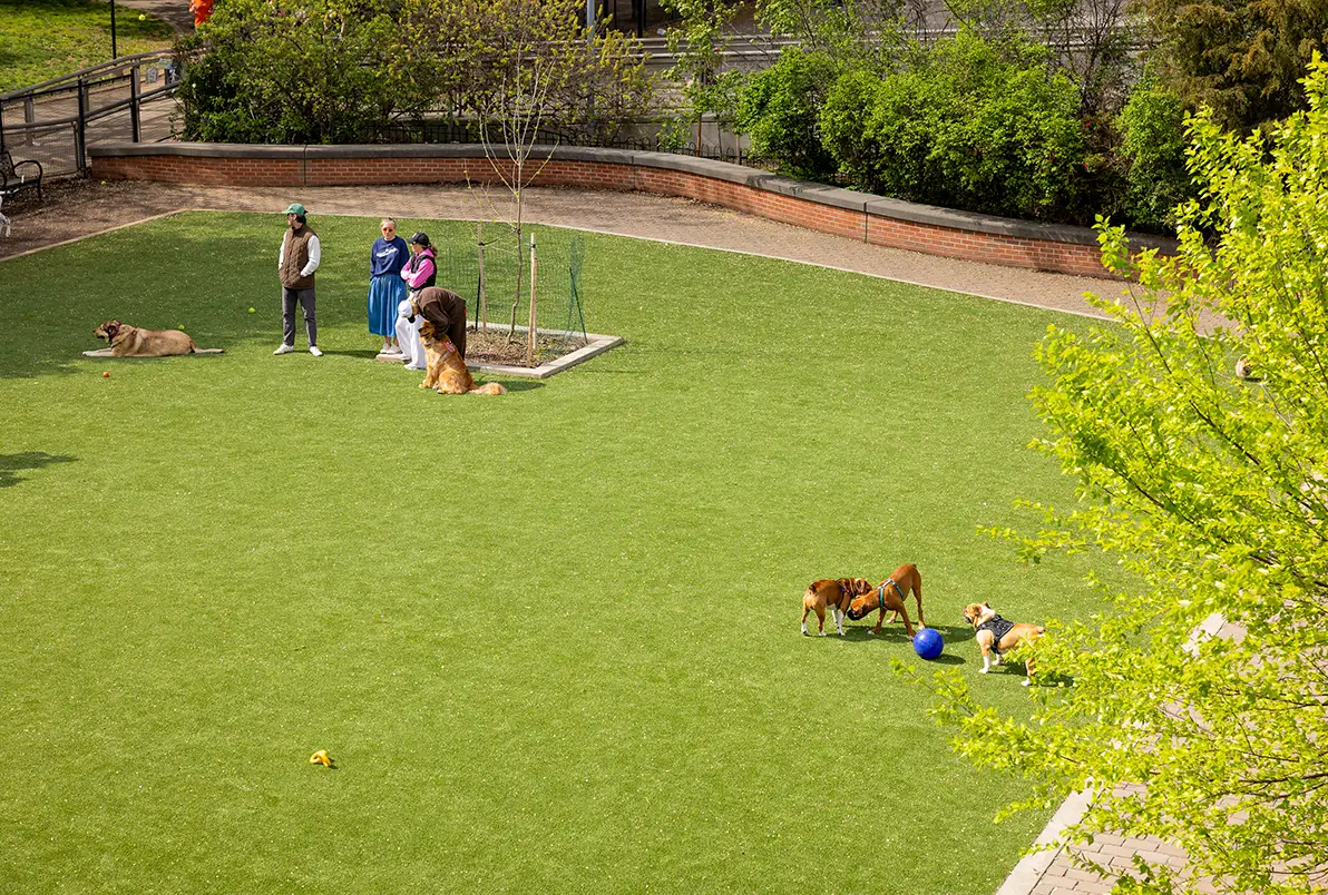 synlawn-sv-park-turf-img-9